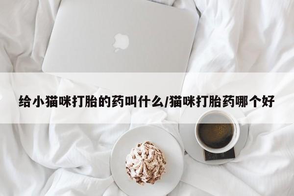 打胎药购买微信保密发货1-2天直邮到家给小猫咪打胎的药叫什么/猫咪打胎药哪个好